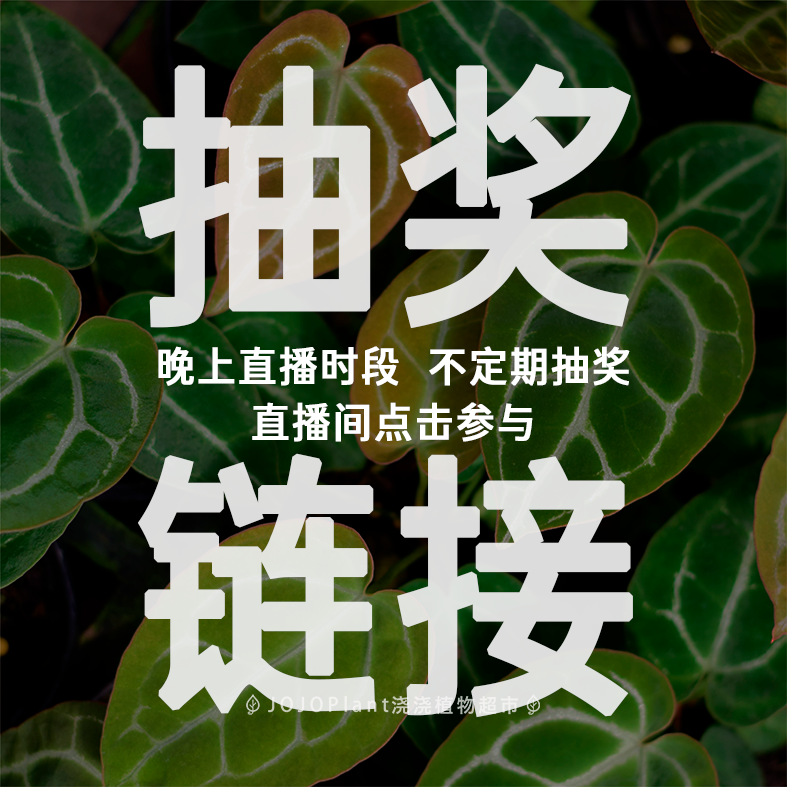 【直播抽奖】浇浇植物直播间抽奖链接