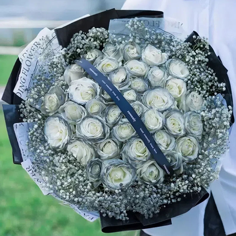 【送男友♥送老公】33朵黑骑士玫瑰花束全国同城鲜花配送生日情人节