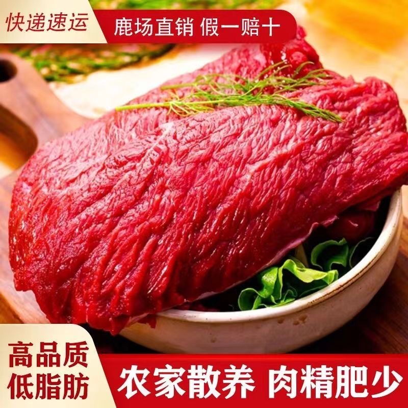 【现场改价】正宗梅花鹿肉 营养丰富 炖烤 包饺子 风味十足 新鲜
