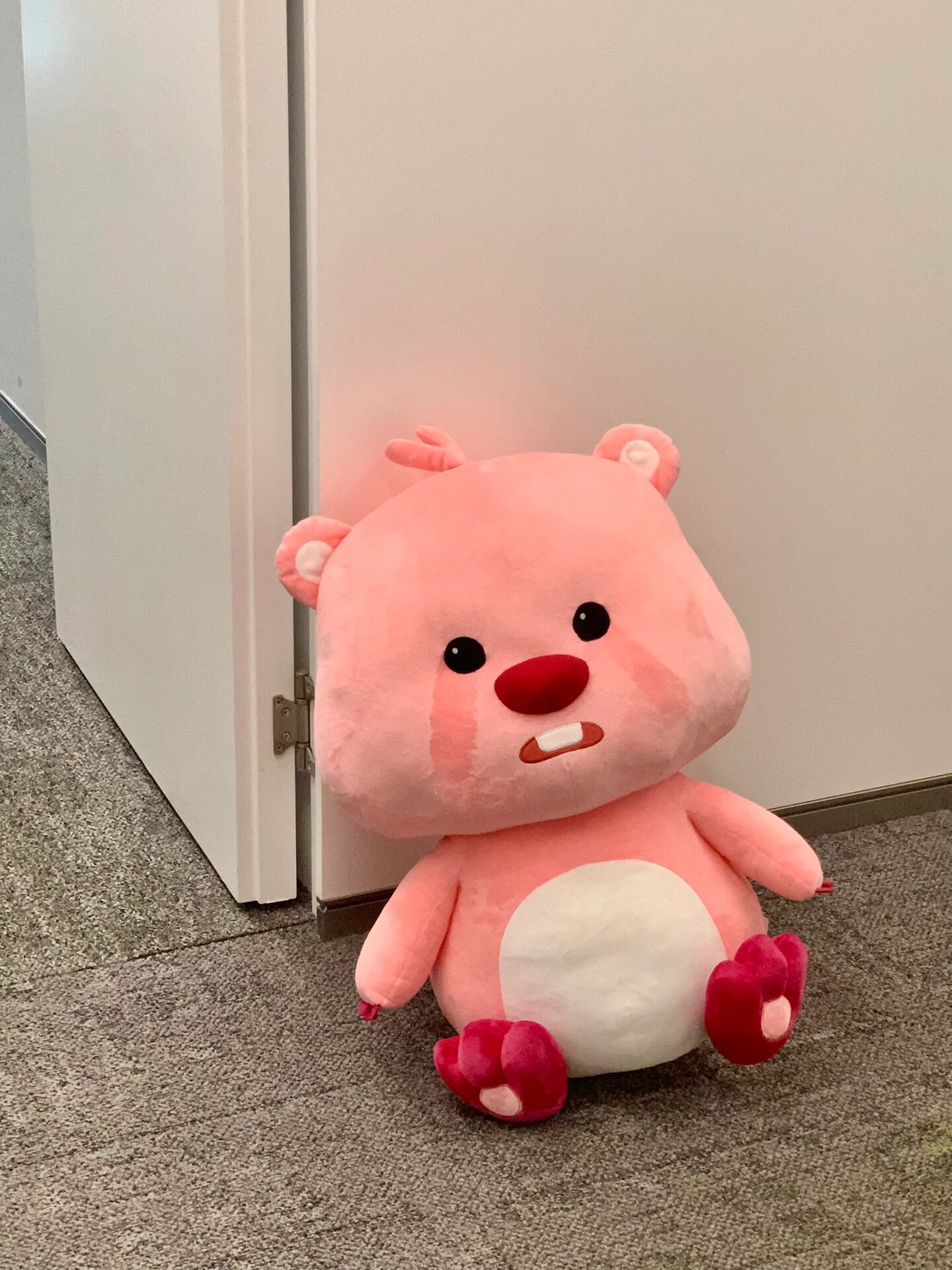 可爱淀粉肠海狸公仔玩偶毛绒玩具送女友礼物loopy小海狸舒适软萌