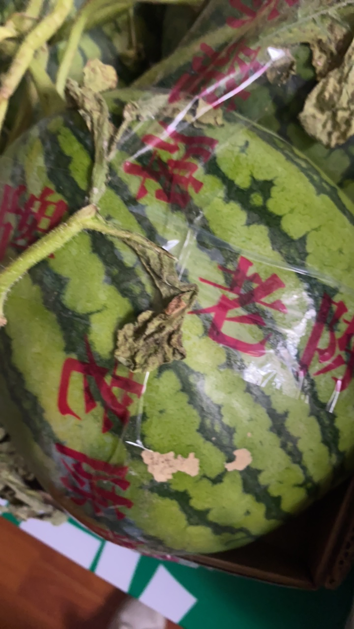 美都西瓜产地江苏盐城 头茬瓜 一物一拍（2.99一斤）