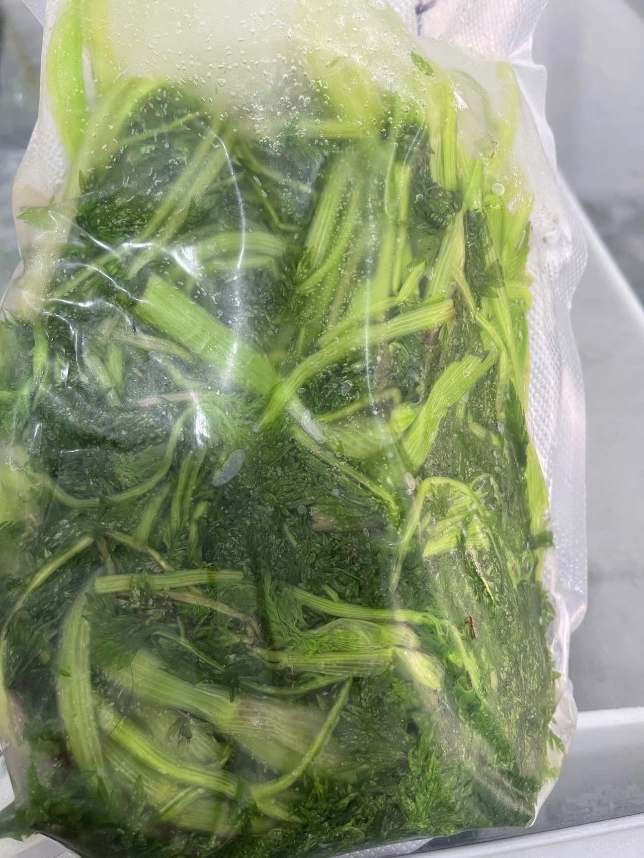 东北野生山胡萝卜樱子 山野菜 水焯速冻发货