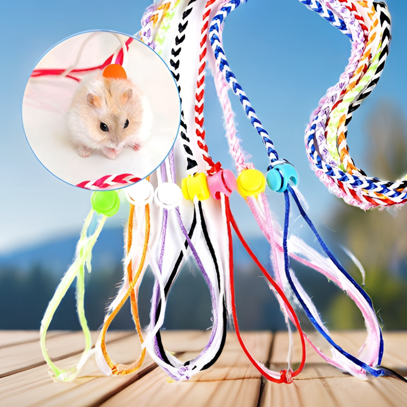 溜仓鼠神器绳子金丝熊外出牵引绳背带式防脱仓鼠外出绳子仓鼠用品