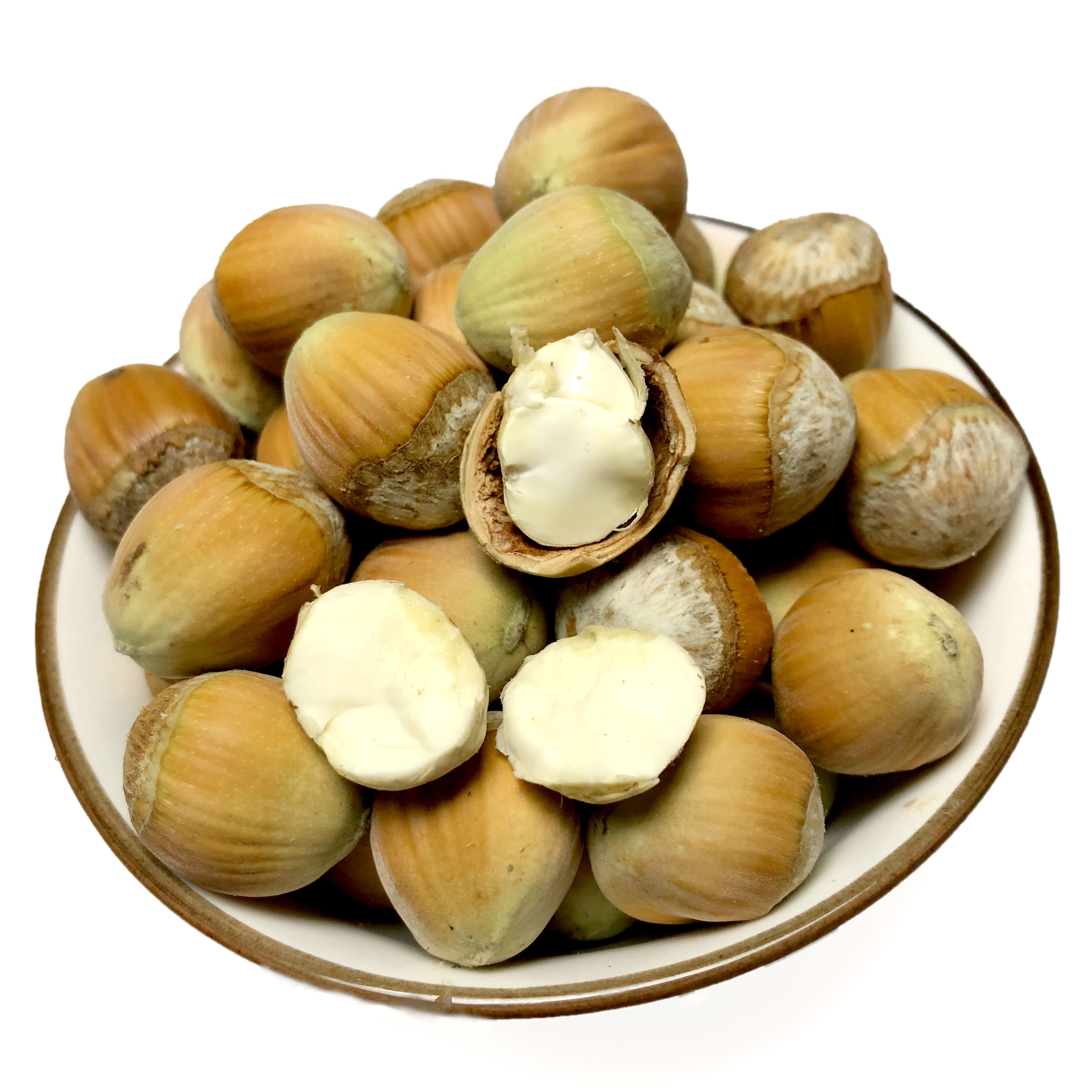 去皮！鲜果大榛子！3斤！5斤带工具一个