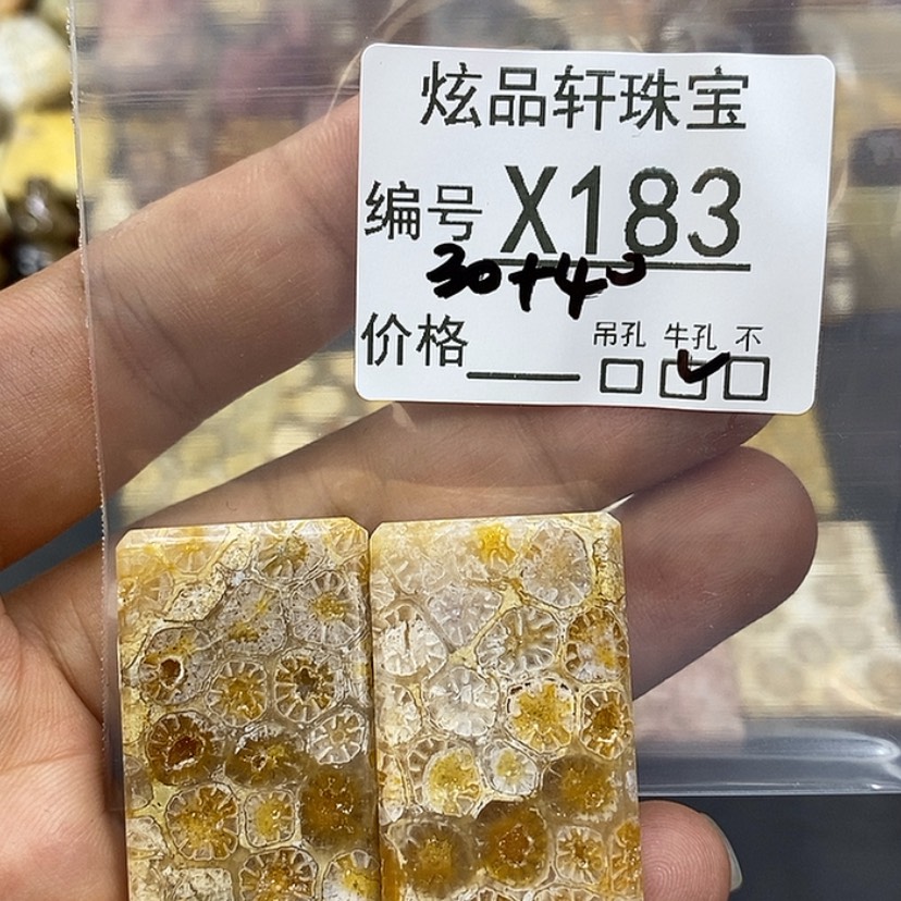 【闪购商品】硅化珊瑚（珊瑚玉）吊坠未镶嵌【**】z 183