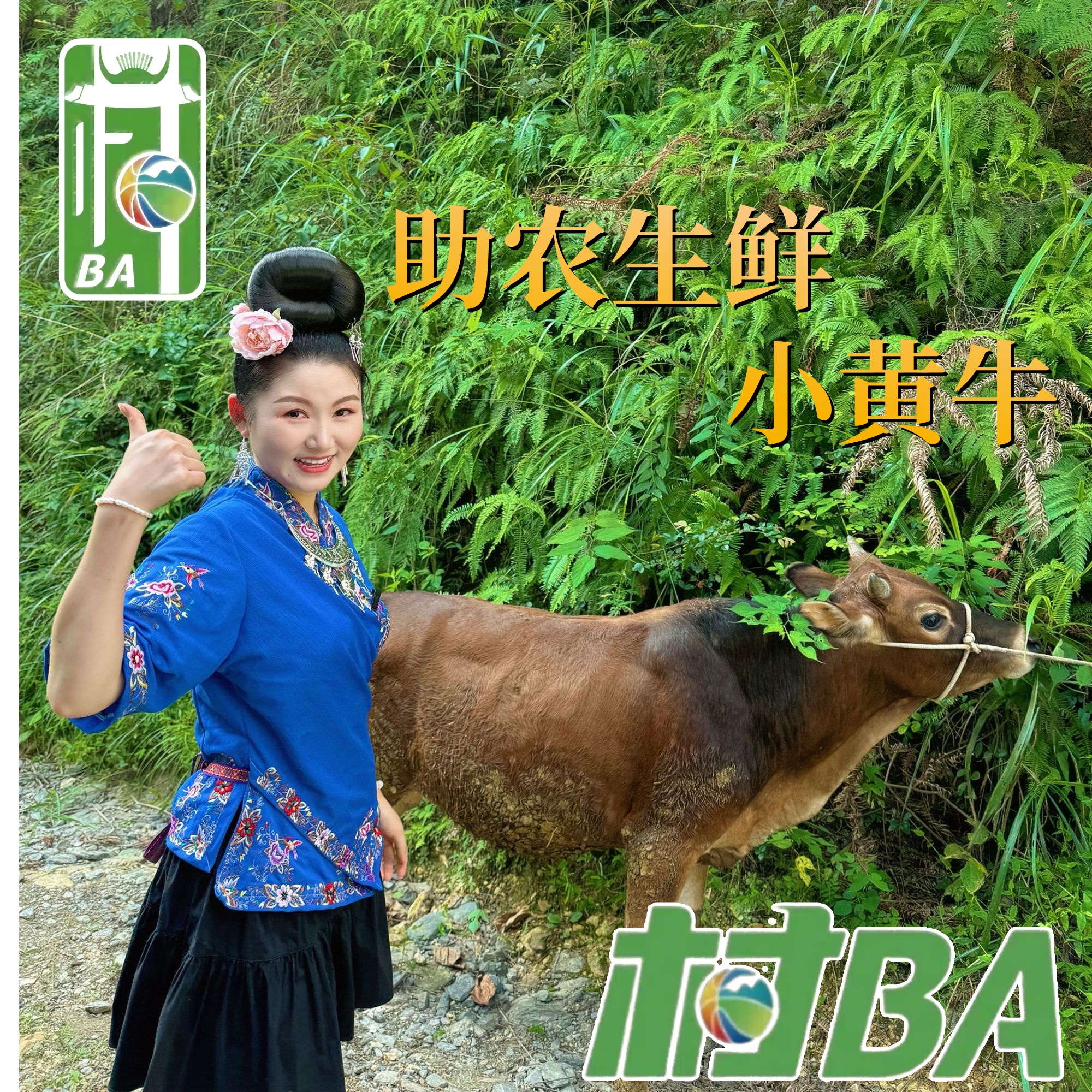 【村BA 现宰小黄牛肉1】现切新鲜牛肉正宗带皮牛肉好吃顺丰冷链