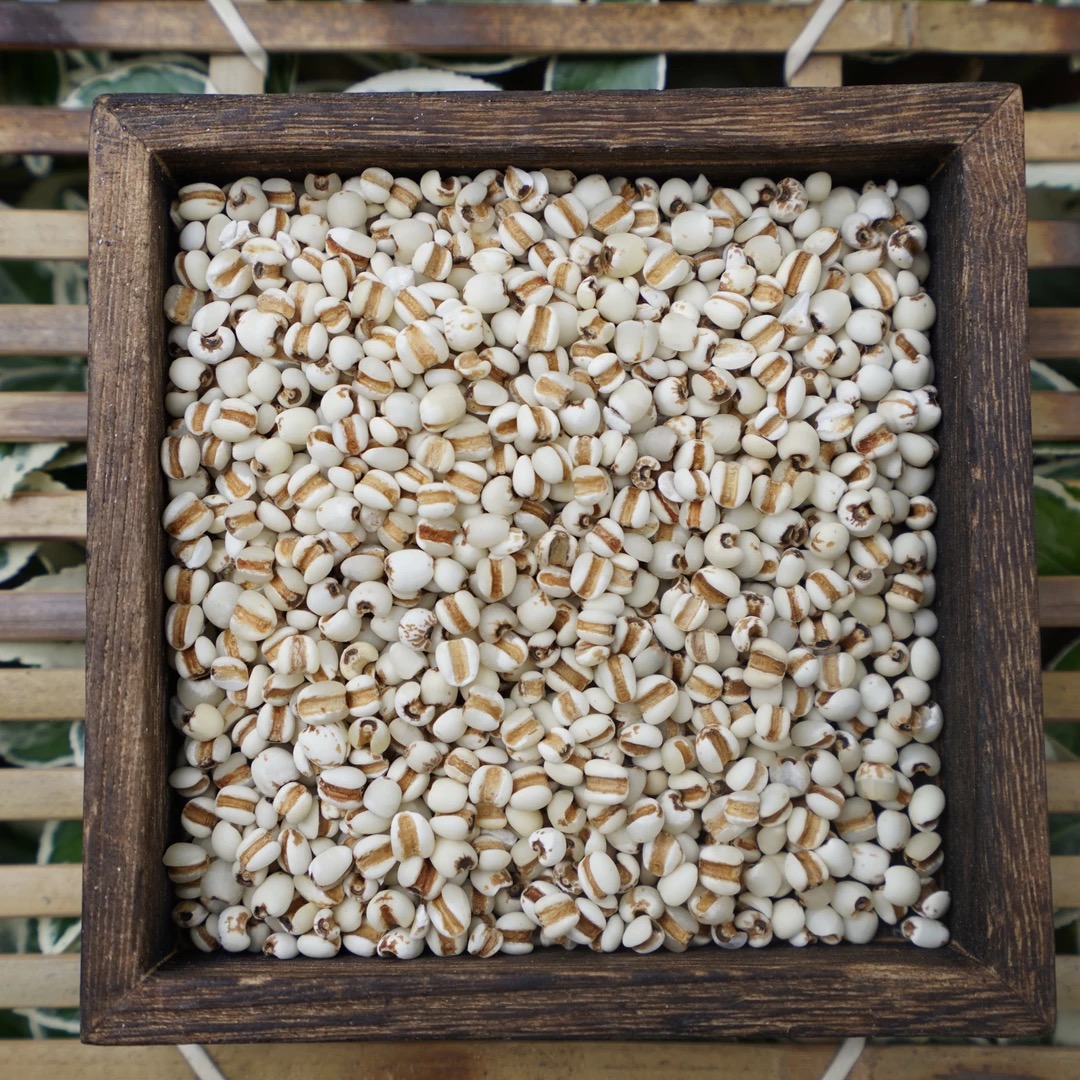 w 高山 农家 薏米 薏米仁