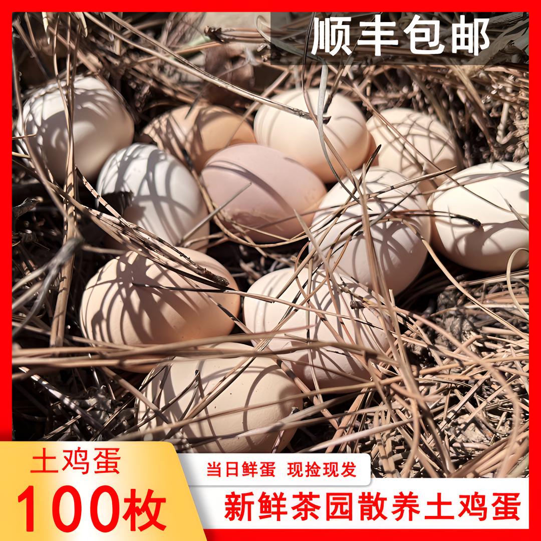 农家散养土鸡蛋新鲜营养早餐柴鸡蛋100个