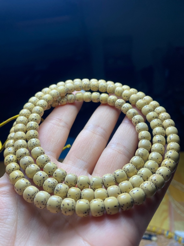 海南星月菩提 原生态7/6  大留白