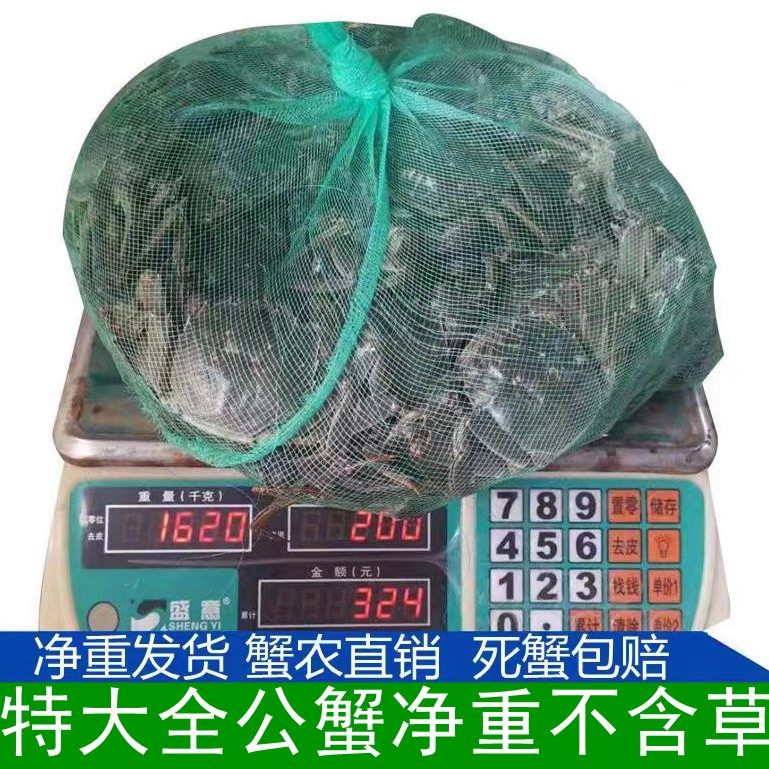 蟹农自家养殖兴化大闸蟹 (3.8～4两)全公净重3斤10只8只