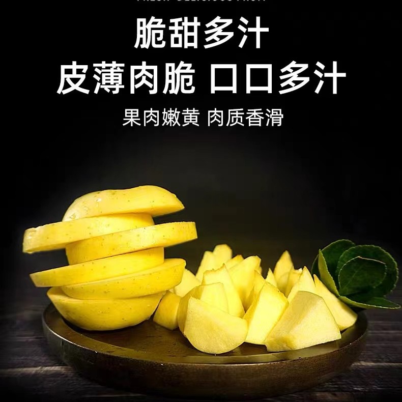 【珊姐优选】黄胖子维纳斯苹果200g/个 新鲜 食用 重量 好吃 水分