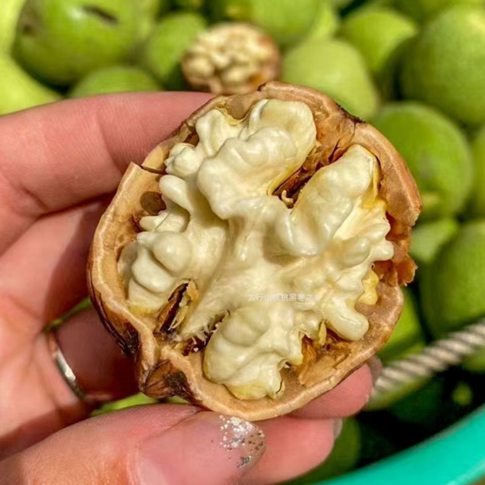 嗨心果  鲜核桃/斤