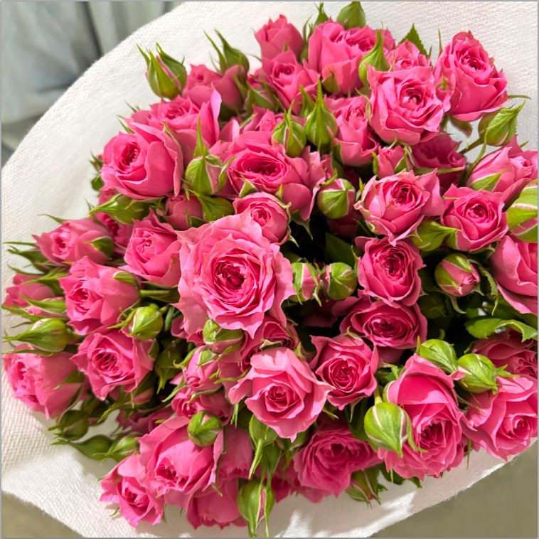 【苏菲宝贝】多头小玫瑰鲜花客厅生日云南昆明直发切花同城母亲节