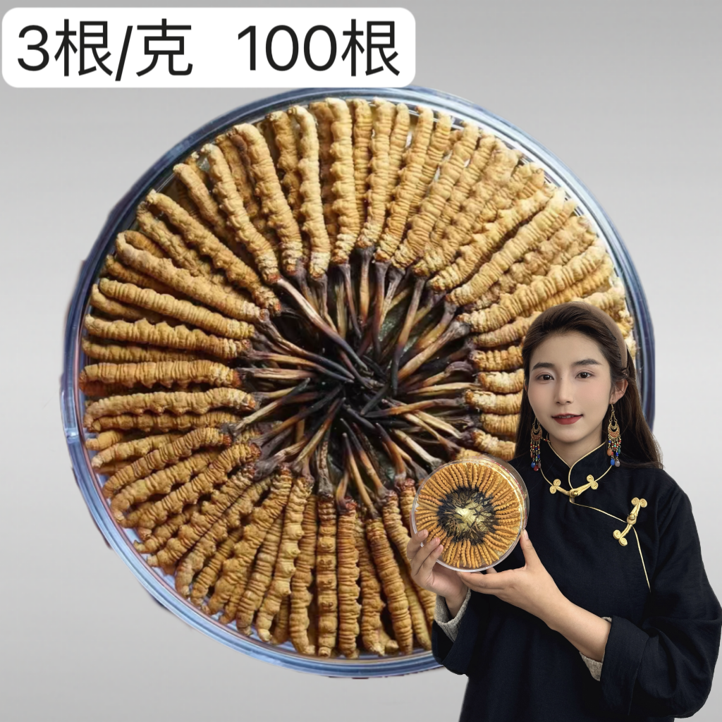 【央宗专属】3根/克 100根 冬虫夏草2024精选头茬产地直发滋补佳品