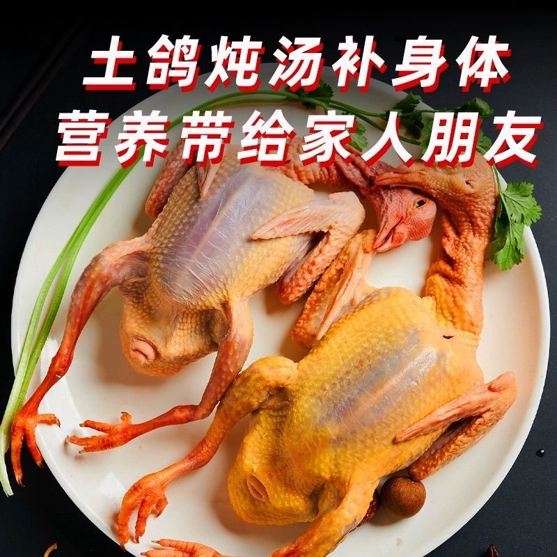 阿丁家3年鸽买一只老鸽子送一只青年鸽体弱骨折术后产后滋补必备
