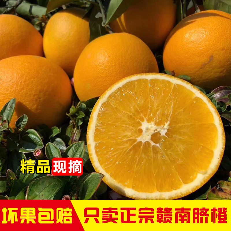 江西新鲜赣南脐橙精品大果甜新鲜水果赣州橙子产地现摘现发
