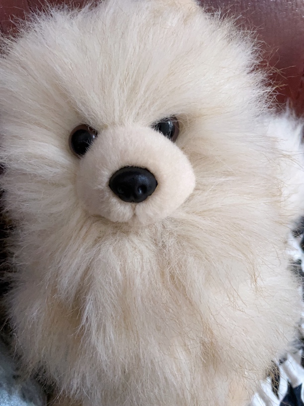 冰冰中古玩偶，20cm～2