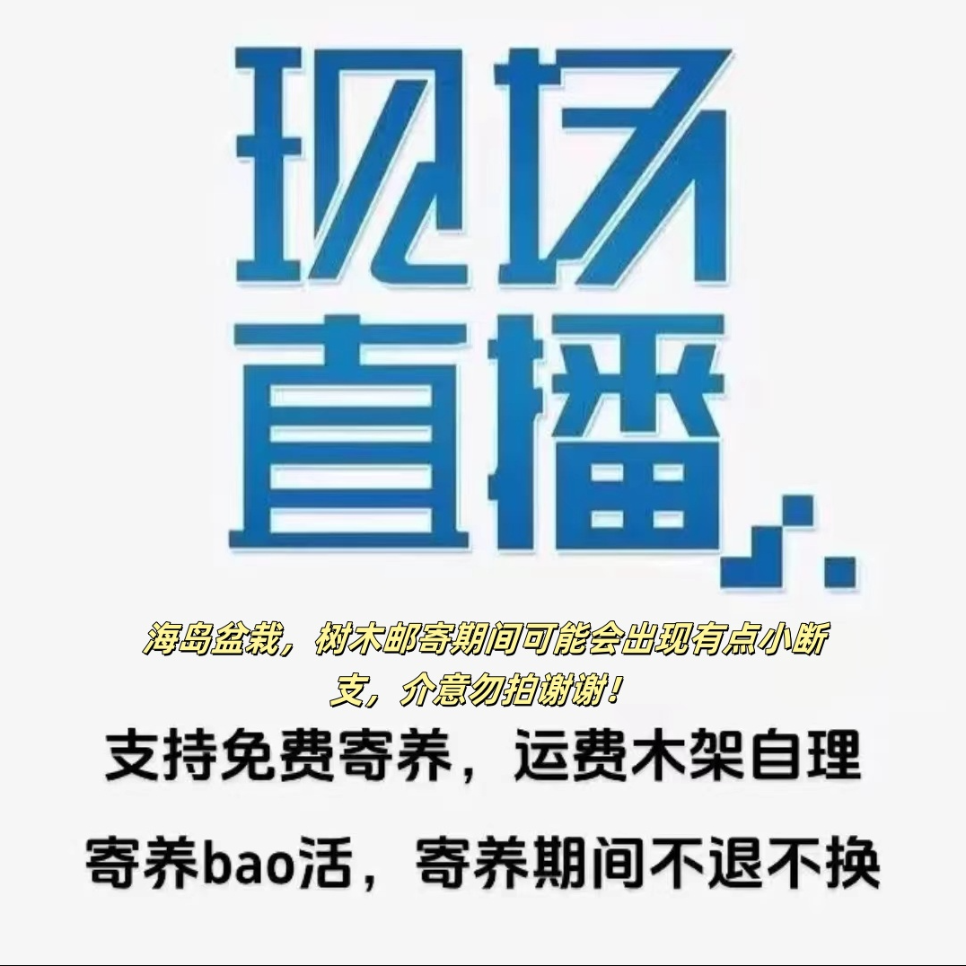 福建海岛绿植一物一拍 包新鲜