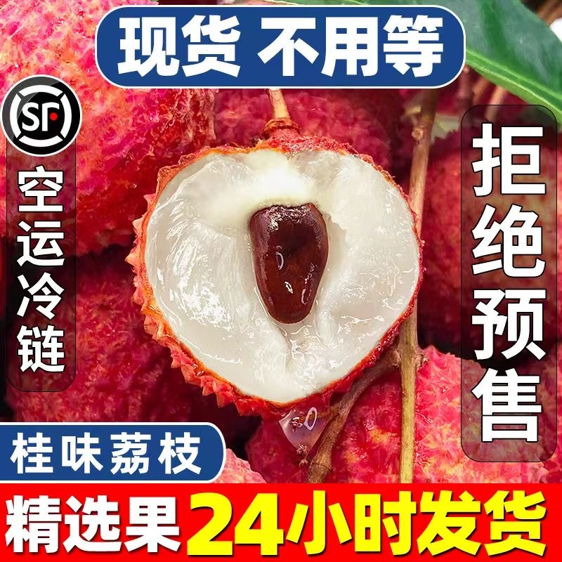 【顺丰空运】桂味荔枝新鲜现摘现发当应季孕妇水果整箱包邮整箱6斤