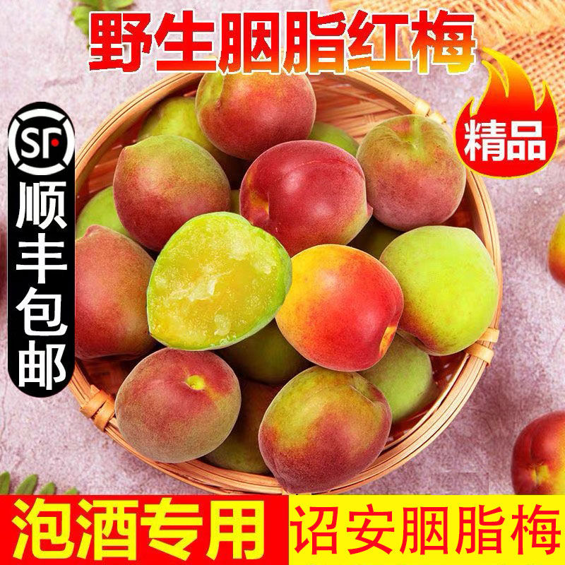 【顺丰+现货】诏安胭脂红梅青梅鲜果新鲜现摘酸脆泡酒梅子水果1/5斤