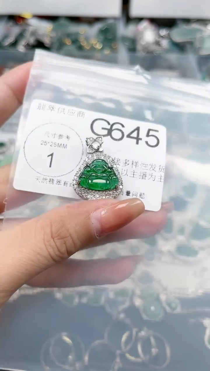 【闪购商品】翡翠颈饰未镶嵌G645