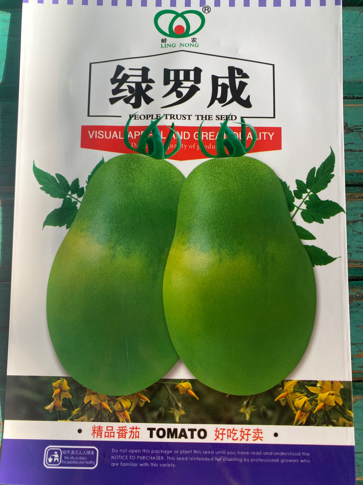 绿箩成 柿子籽 200粒 