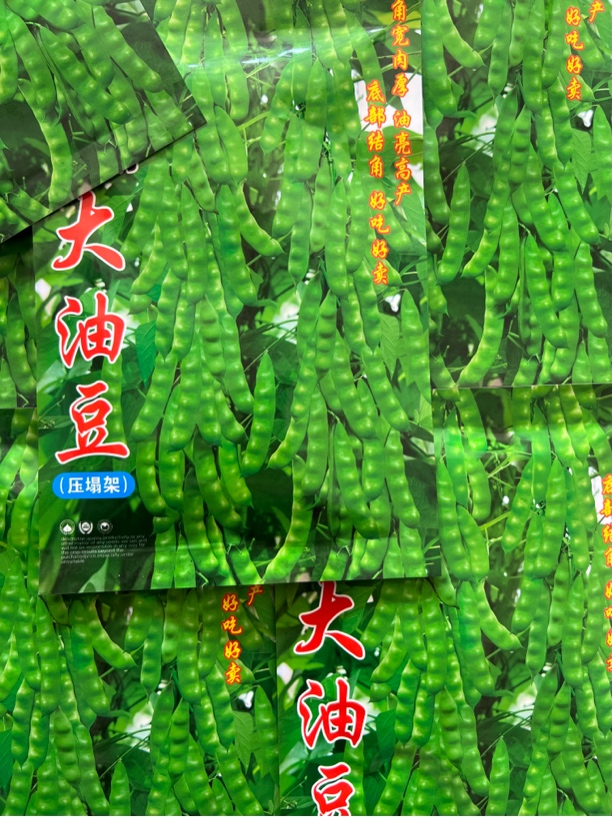 大油豆 搭架豆角种子50克