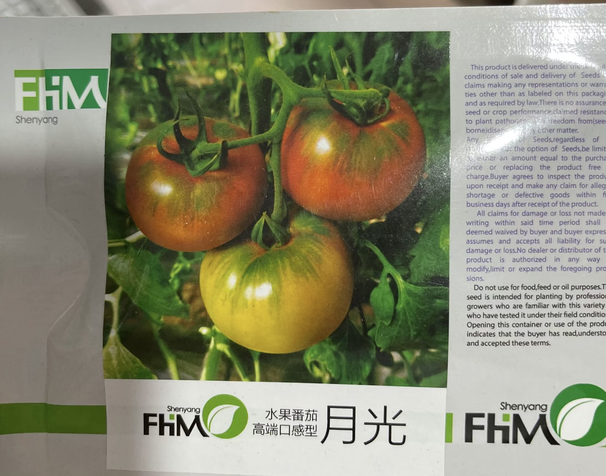 月光 水果番茄 柿子种子