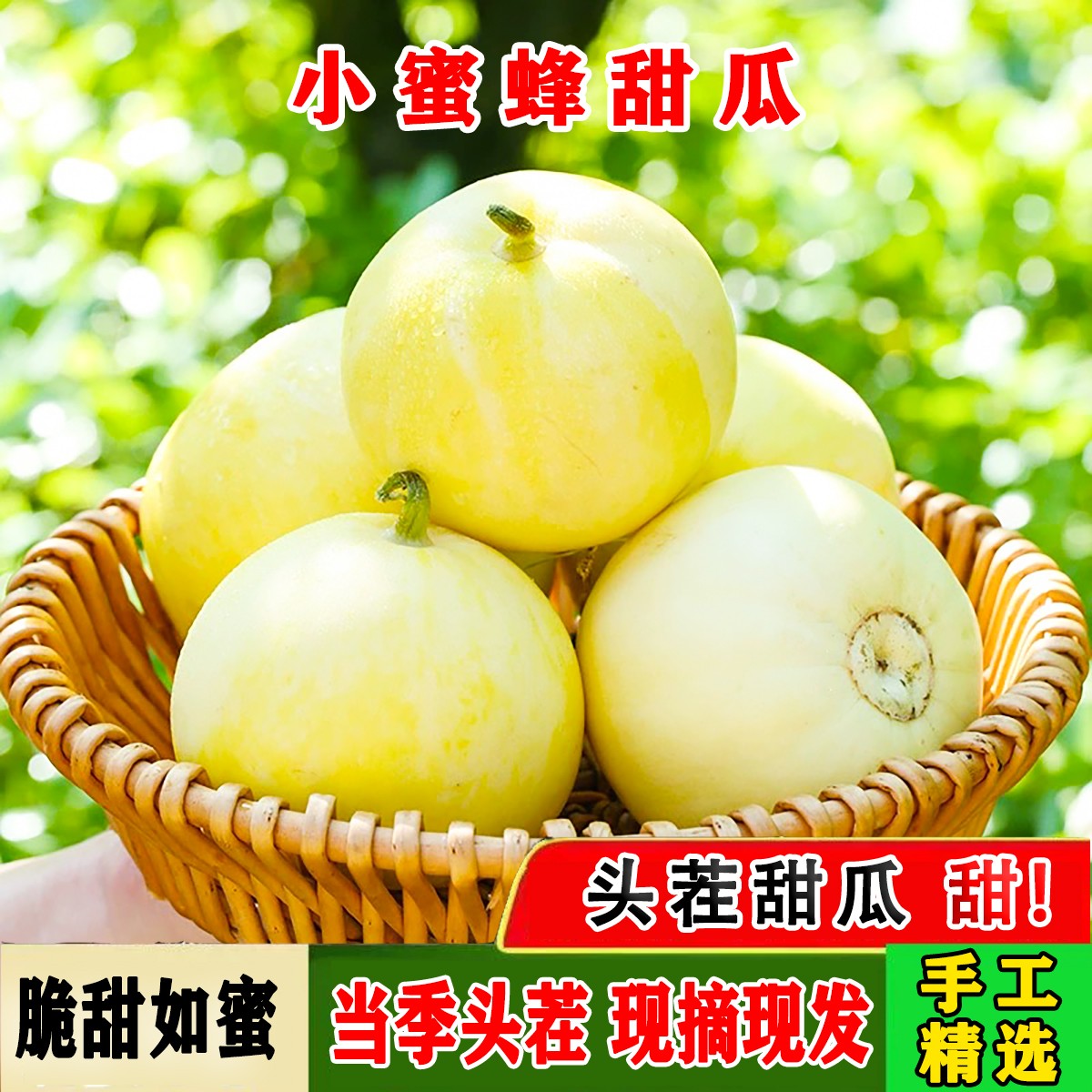 山东头茬小蜜蜂早甜脆香瓜脆应季新鲜甜瓜春季现摘春季时令水果