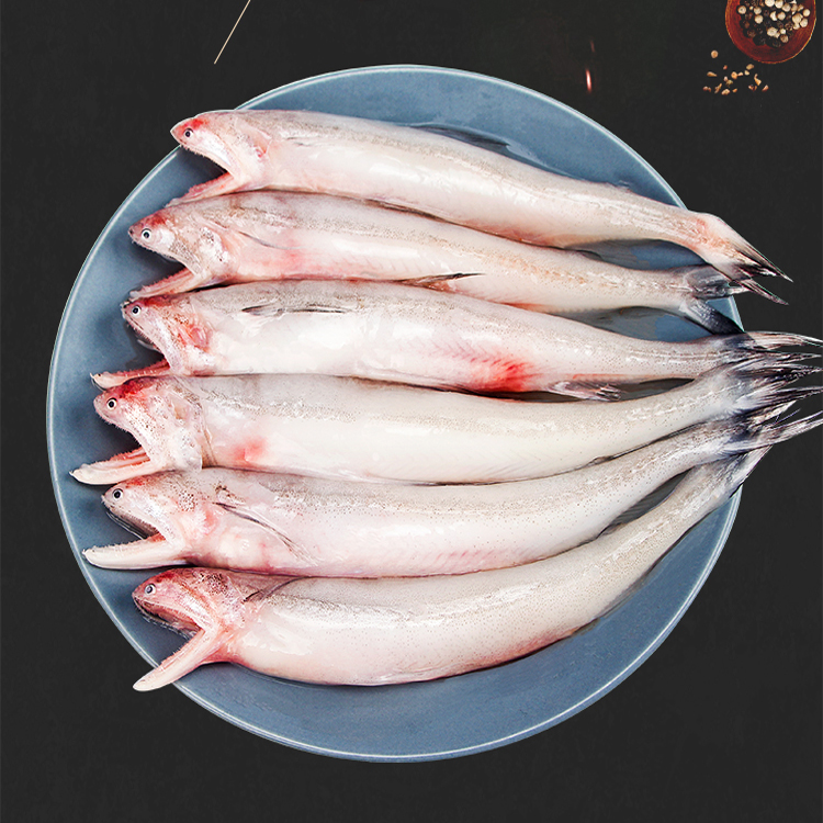 新鲜海捕龙头鱼豆腐鱼 一斤6-7条 肉质细嫩冷链直发10斤