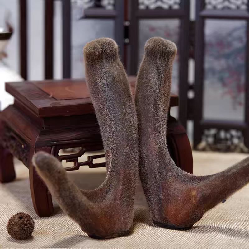 【山为证】东北特产新鲜鹿茸整枝整根鹿茸煲汤泡酒美味优选