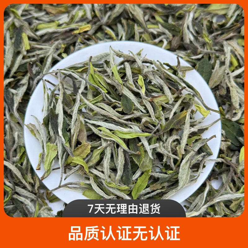 2024年 白牡丹 春茶
