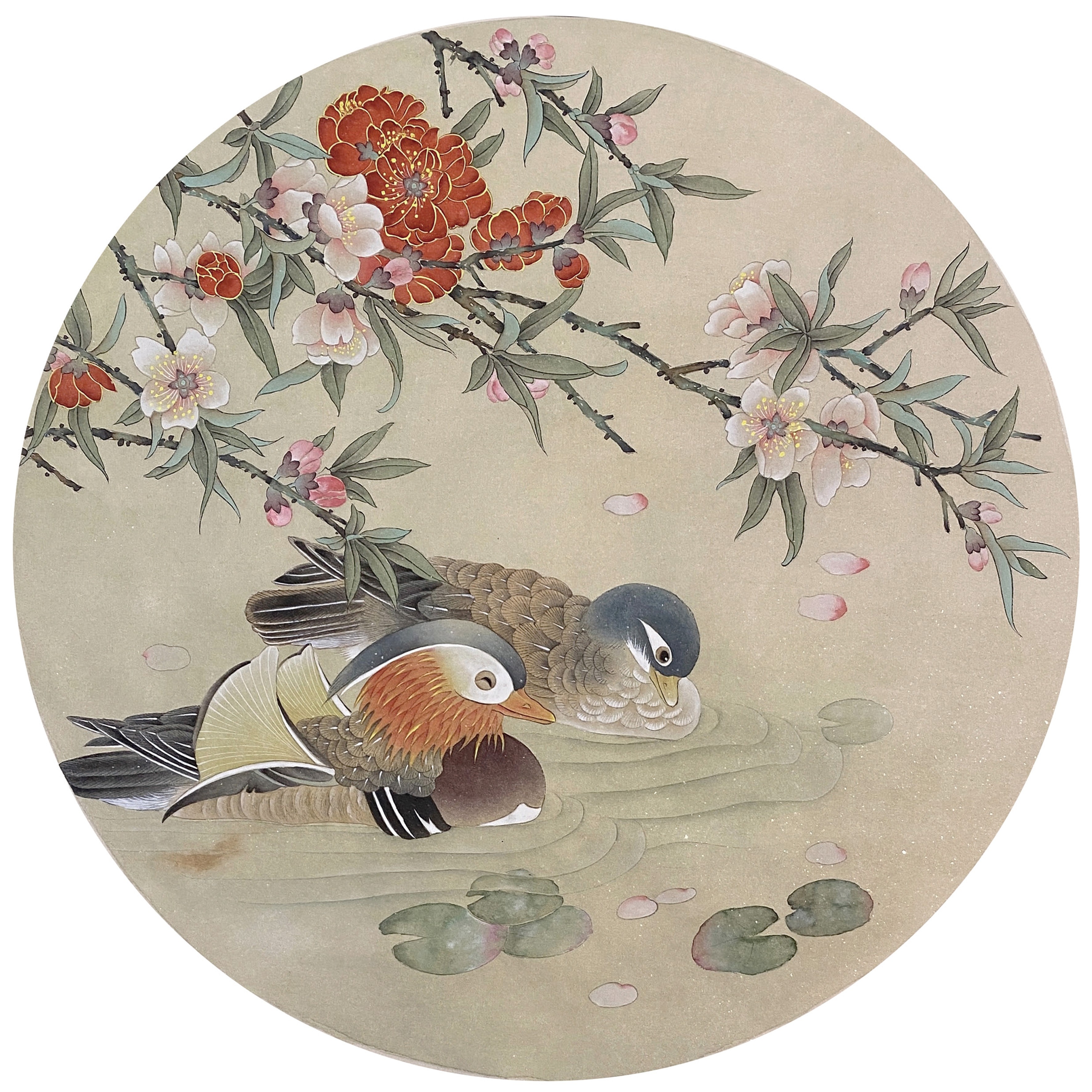 工笔画鸳鸯教学附带底稿彩图视频和同大熟宣一张直径38cm