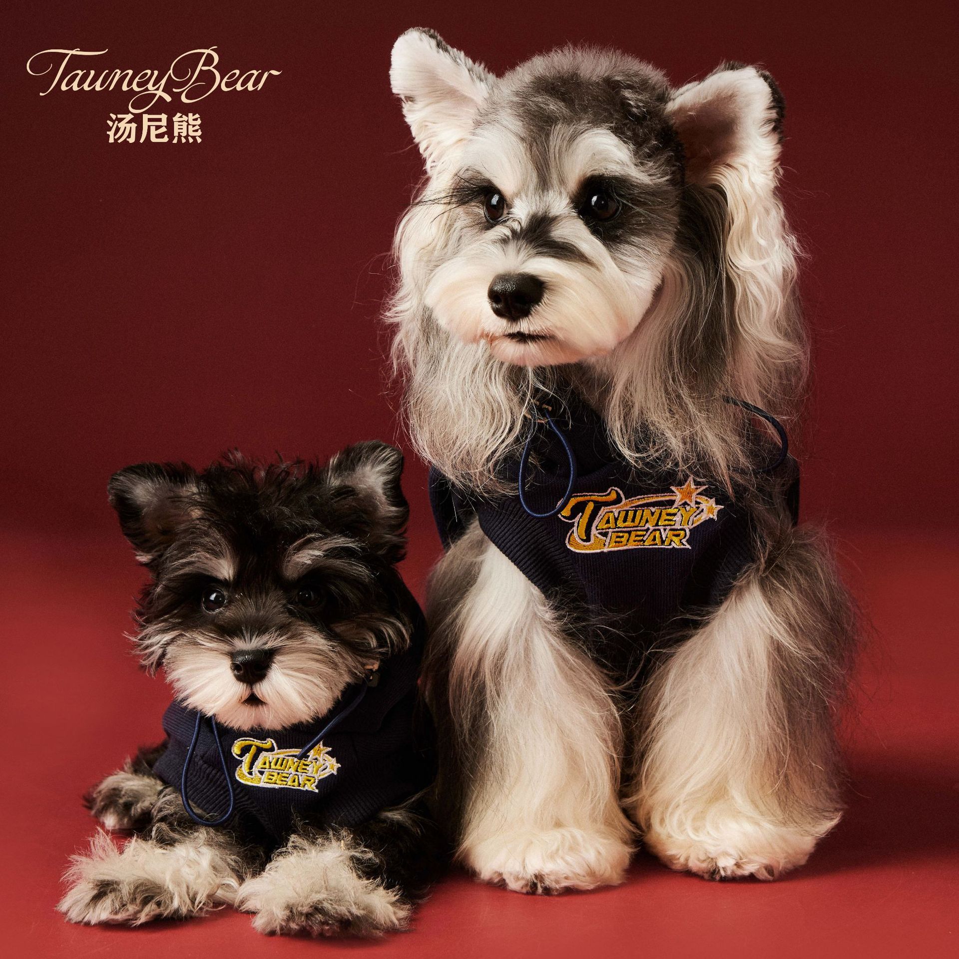 汤尼熊 狗狗衣服秋冬装加绒帅气马尔济斯雪纳瑞泰迪无袖连帽卫衣