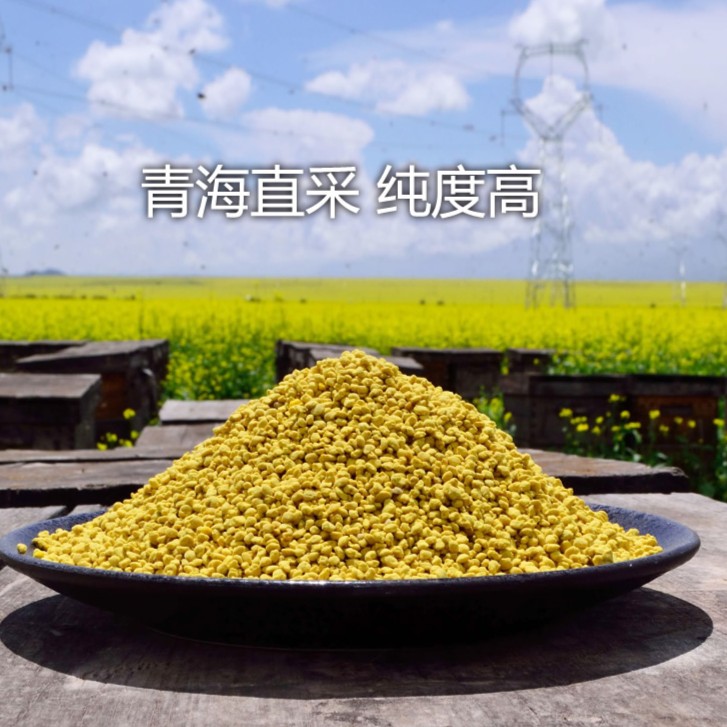 25年青海油菜花粉 天然蜂花粉 正品复人春500克包邮