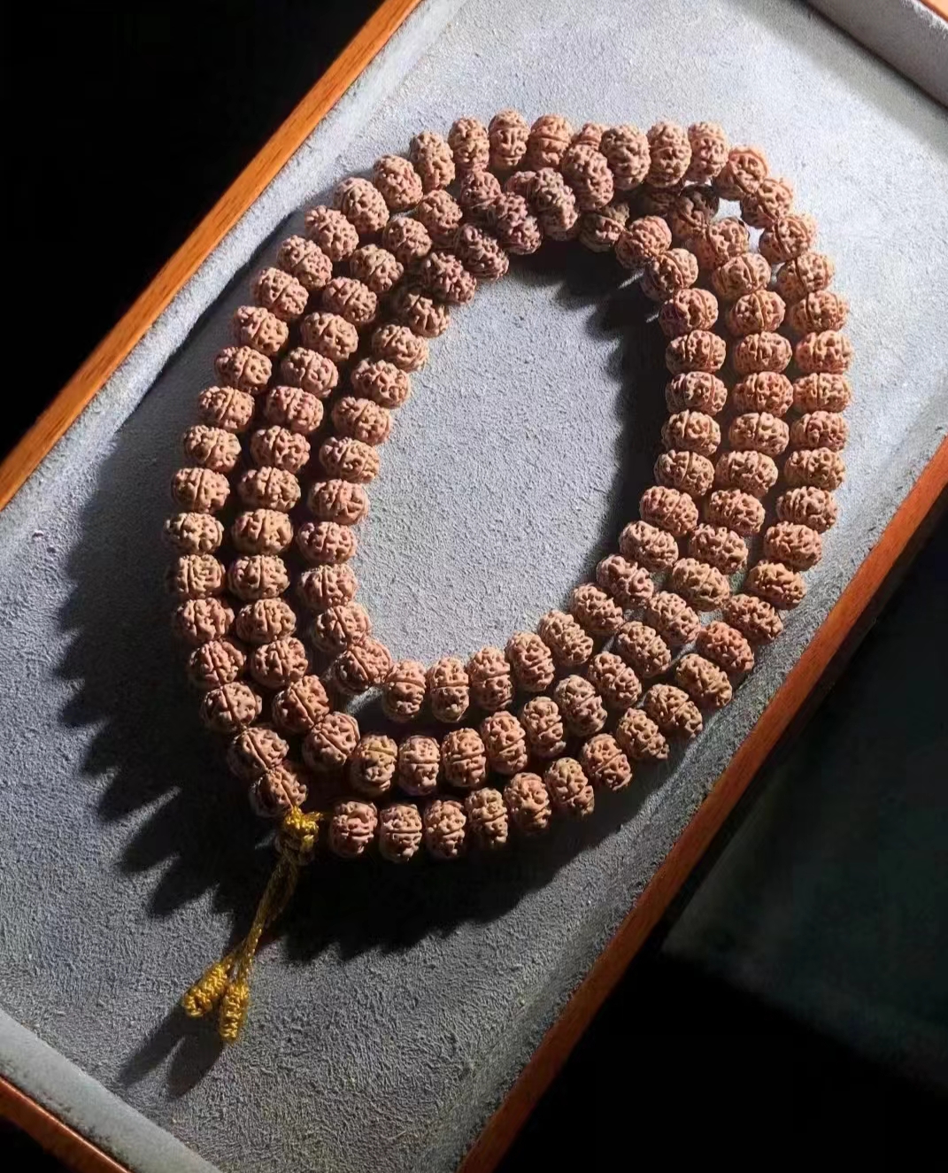 五瓣凹底梅花菩提小金刚