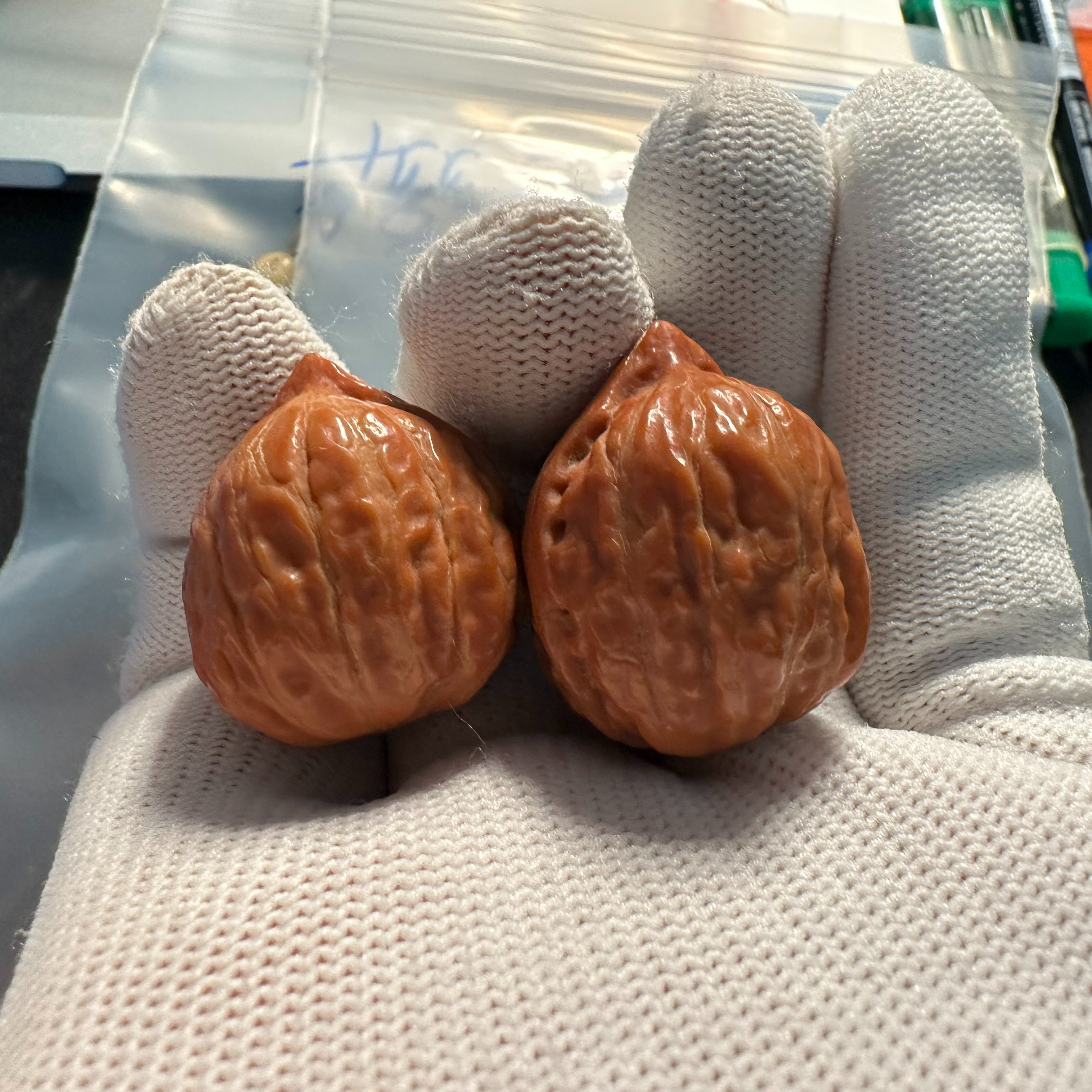 [包邮卡]核桃练手手捻[包邮卡]