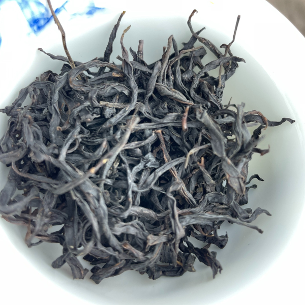 【茶芯蜜兰香】潮州高山蜜兰香