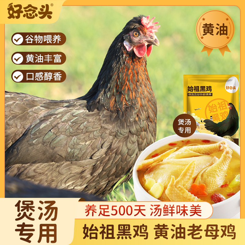 【2只老母鸡】好念头始祖黑鸡约4斤 慢养500天 原味煲汤老母鸡