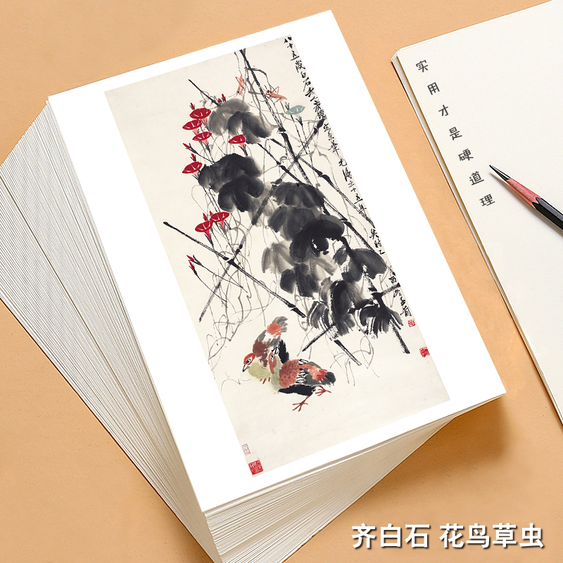 国画临摹卡花鸟草虫篇 齐白石国画入门艺术培训教学全套单面48张