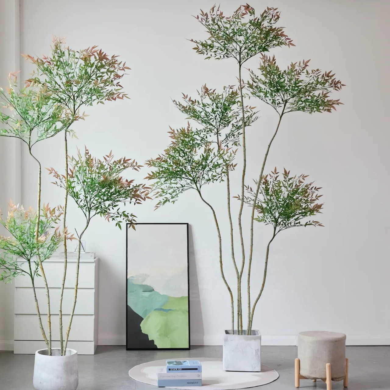 火焰南天竹树苗阳台客厅绿植大盆栽水养庭院土培四季变色耐寒老桩