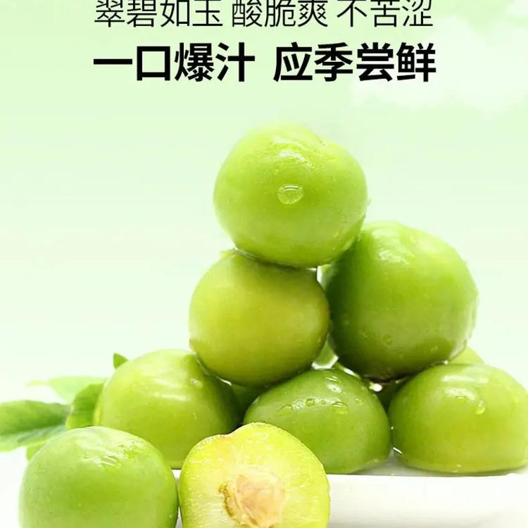 鲜红脆李现摘现发坏果包赔