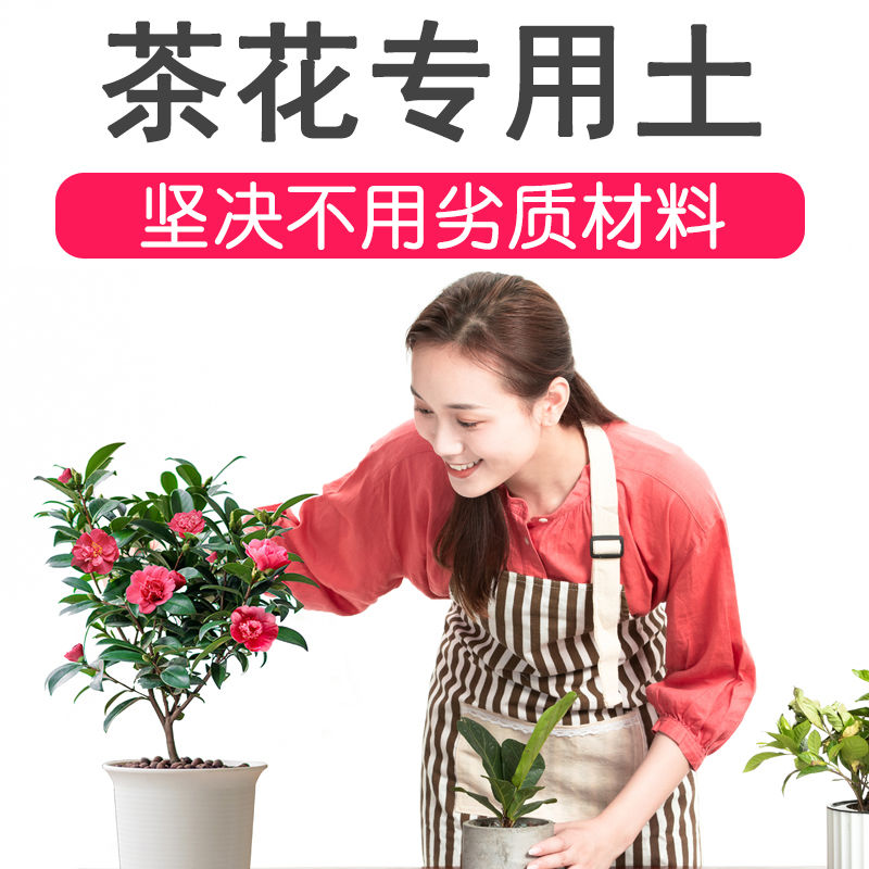 茶花土-透气性排水性好