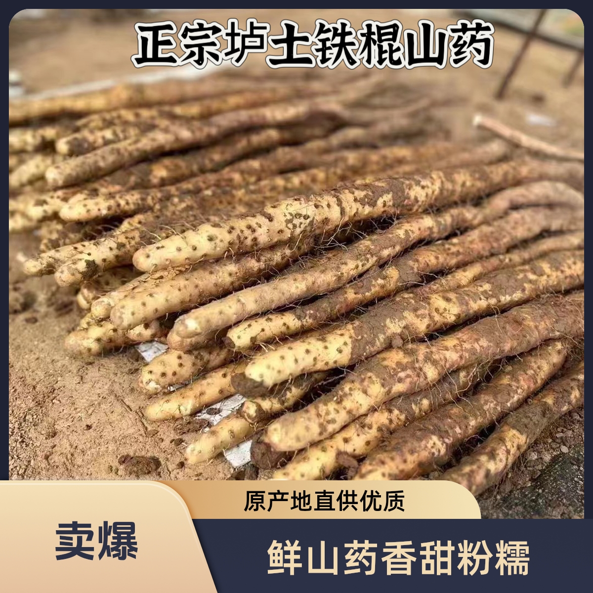 河南焦作正宗垆土地铁棍山药香甜粉糯营养丰富原产地直供