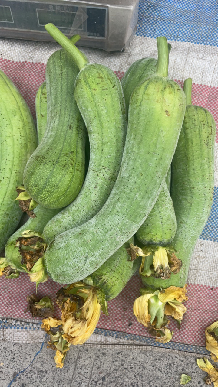 赶集 农家自己种植 丝瓜