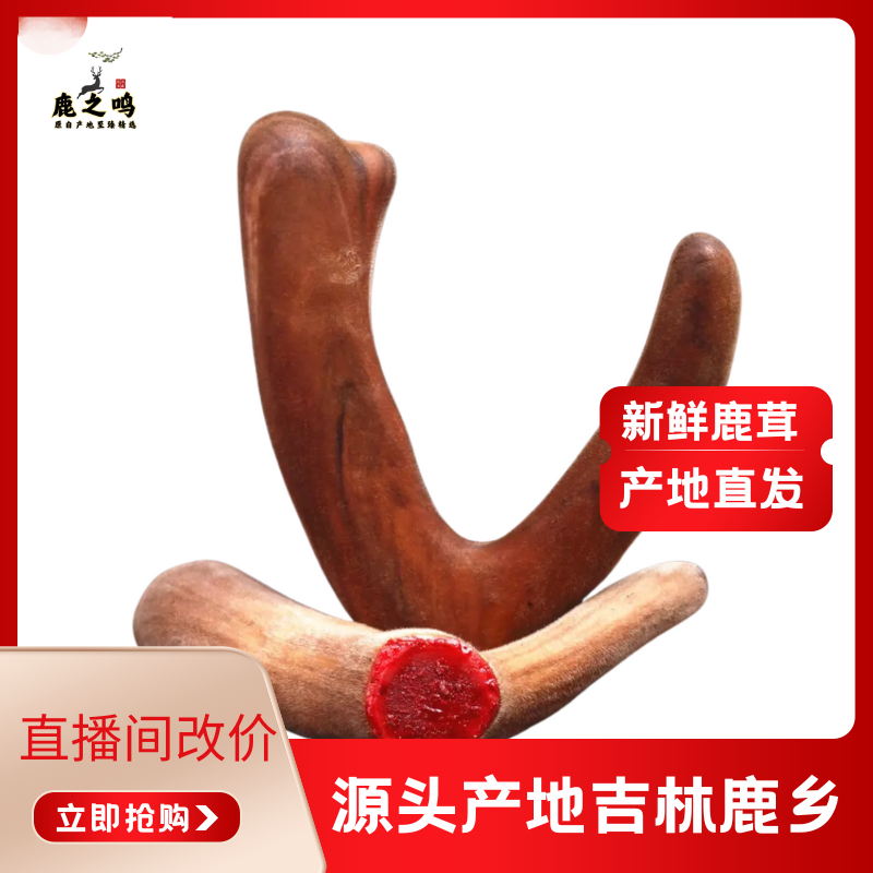 东北产地吉林滋补泡酒煲汤炖菜新鲜鹿茸直播改价