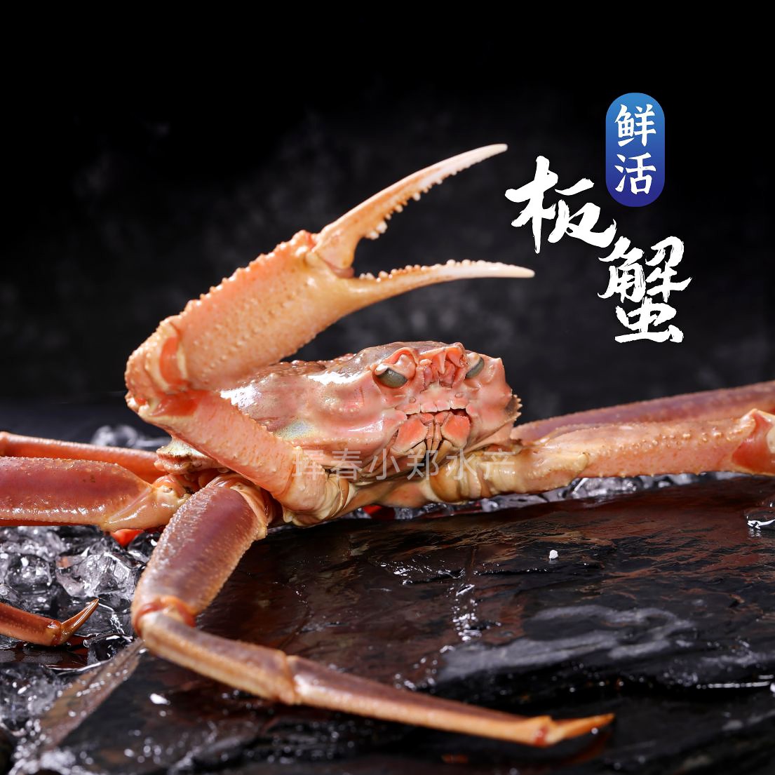 鲜活松叶蟹  板蟹/残板 保鲜不保活 珲春顺丰发货 东三省包邮