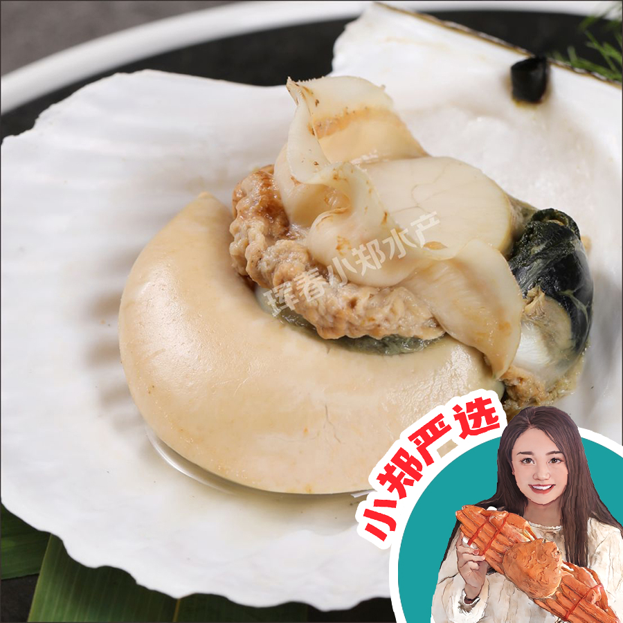 14-17cm俄罗斯特大活冻扇贝 深海野生活冻扇贝 5斤装 顺丰包邮 