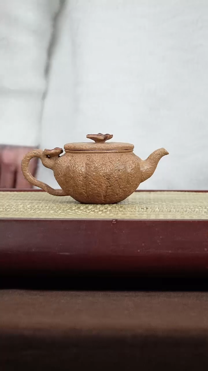 【闪购商品】紫砂茶壶1