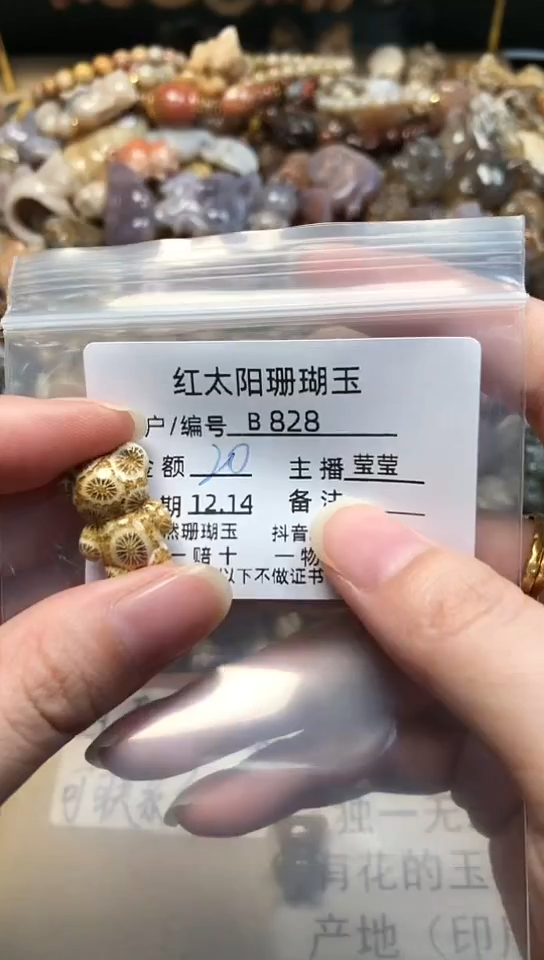 【闪购商品】硅化珊瑚（珊瑚玉）颈饰未镶嵌828